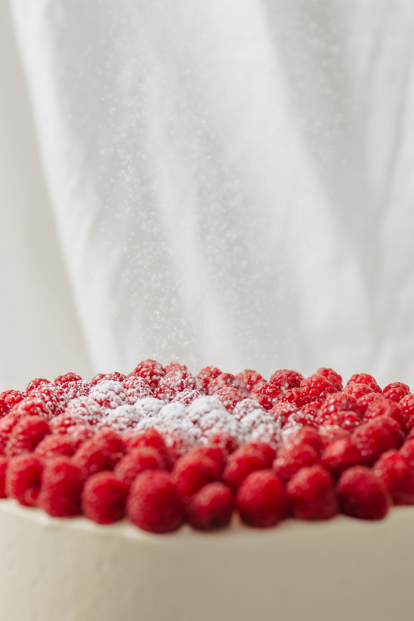 Dark Chocolate & Raspberry Cake