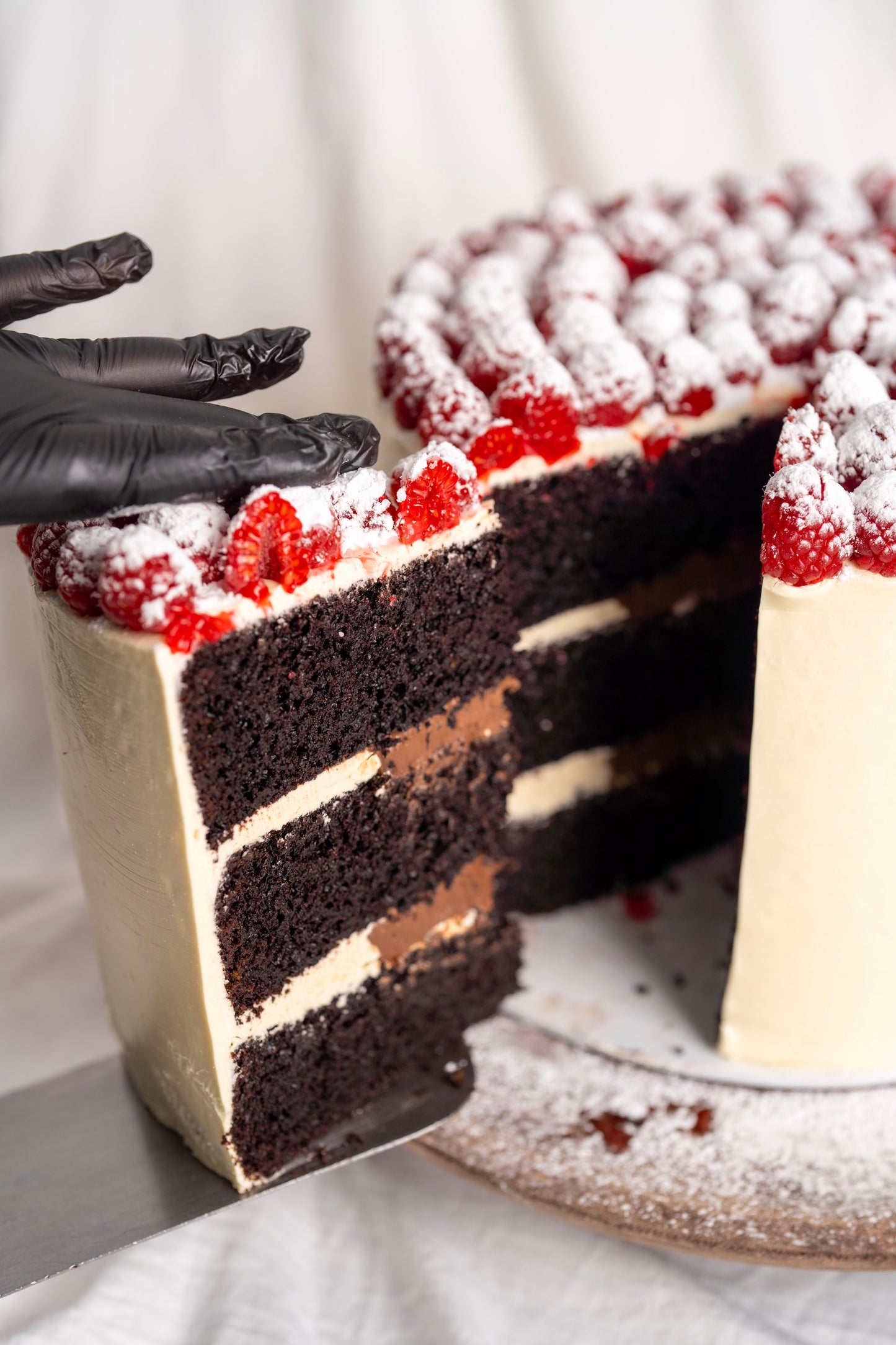 Dark Chocolate & Raspberry Cake